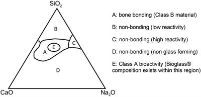 Bioactive Glass: Methods for Assessing Angiogenesis and Osteogenesis
